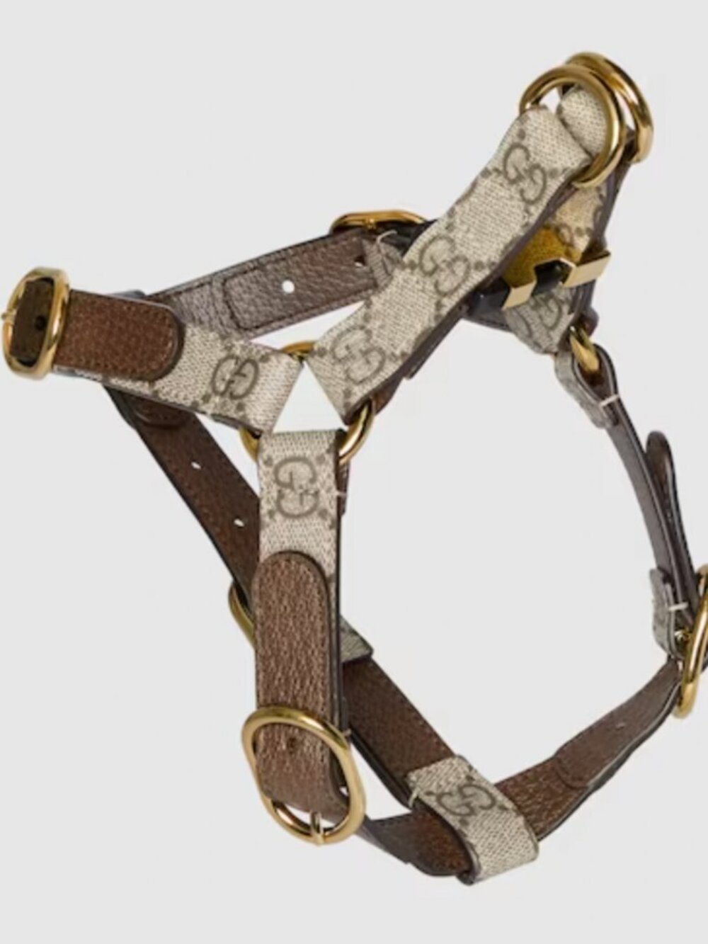 Gucci Pet Harness